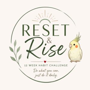 Reset & Rise Challenge